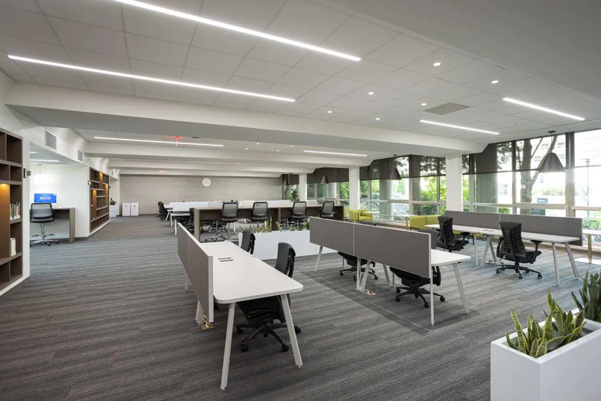 Library Renovation