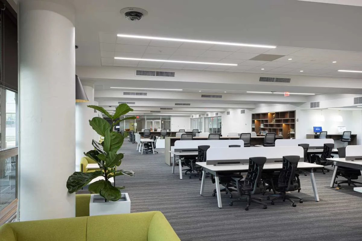 Library Renovation