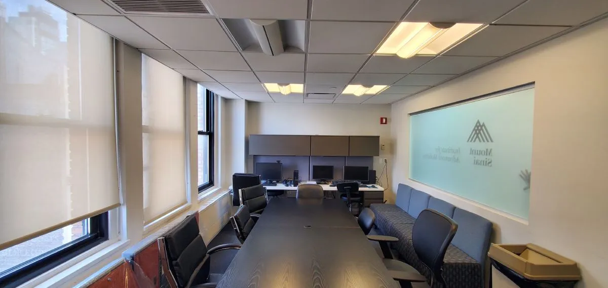 The Mount Sinai Institute For Advanced Medicine