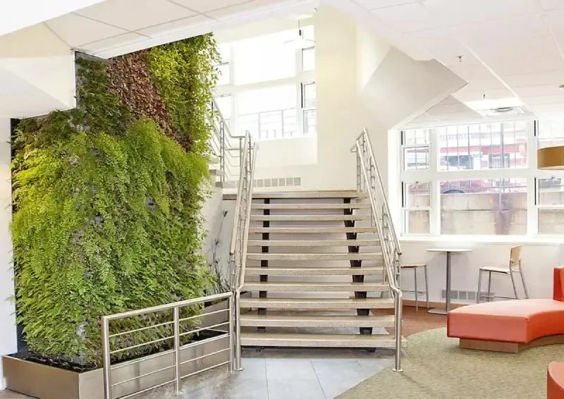 Photo of a room with stairs and some plants