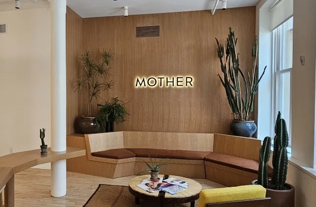 mother denim